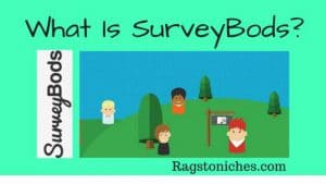 what is surveybods legit or scam