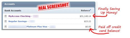 screenshot bank balance