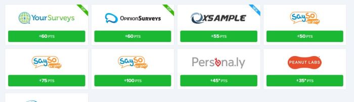 earnably surveys