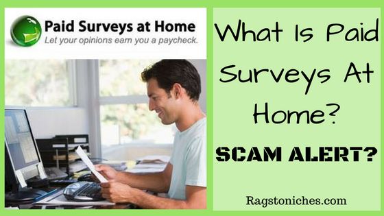 what is paid surveys at home a scam