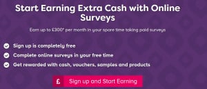 paid surveys £300 a day