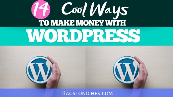 14 Ways To Make Money From A Wordpress Blog - RAGS TO NICHE$