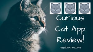 curious cat app review legit or scam