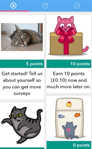 curious cat app surveys