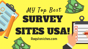 top best survey sites usa