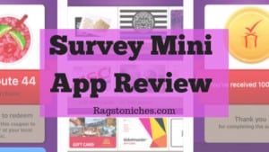 survey mini app review