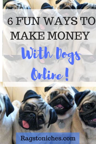 ways to make money from dogs online