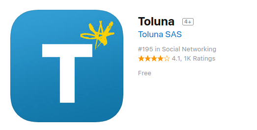 What is Toluna? Is Toluna Legit Or A Scam? - RAGS TO NICHE$