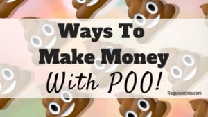 can you make money selling poo