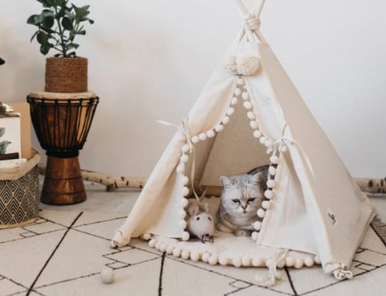 Gorgeous Cat TeePee Etsy