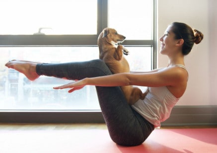 yoga with your dog