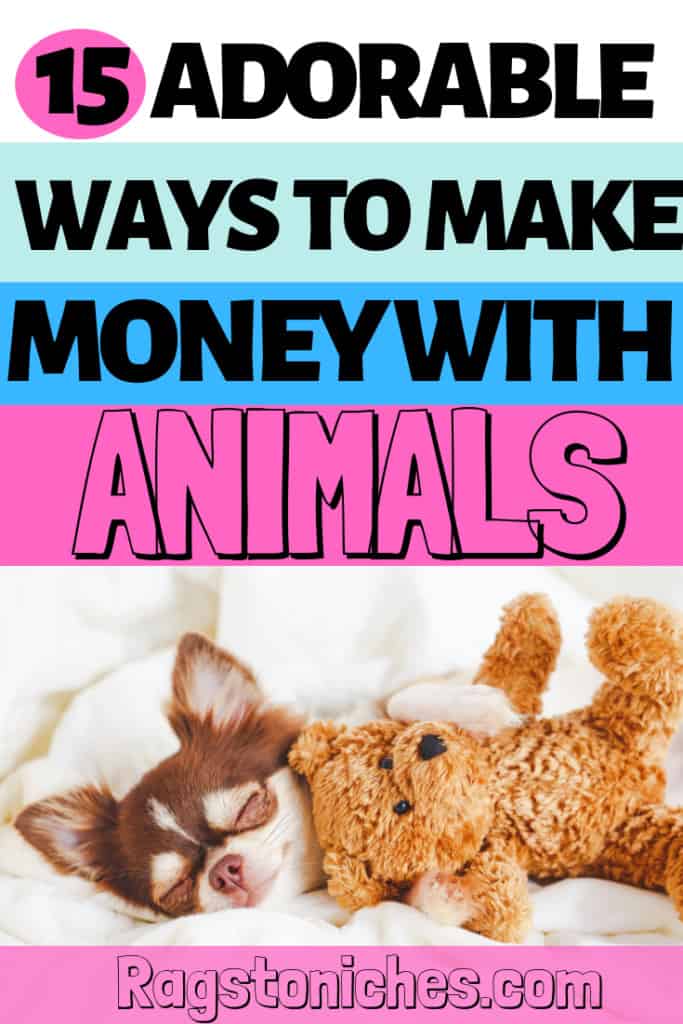 15 adorable ways to make money with Animals!