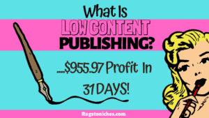 what is low content publishing on KDP