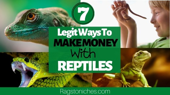 legit ways to make money from reptiles