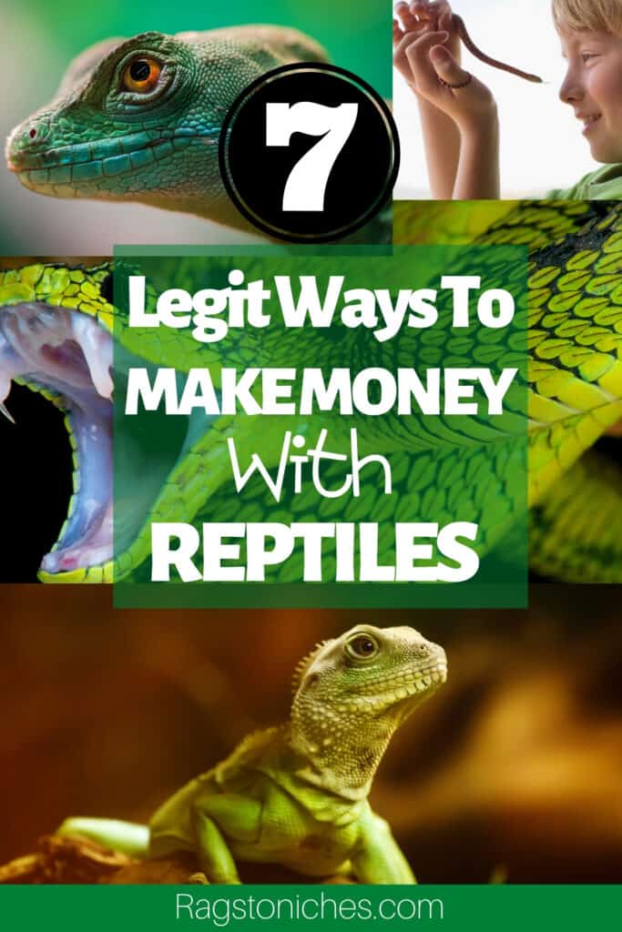 legit ways you can make money with reptiles.